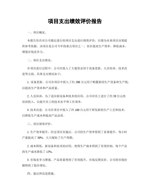 项目支出绩效评价报告