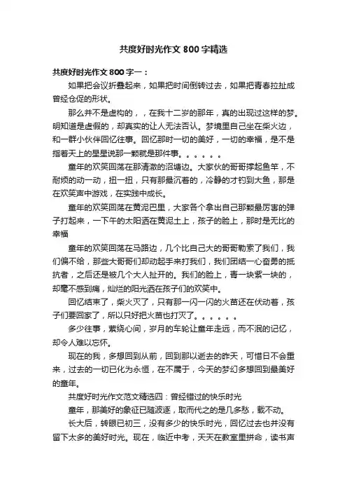 共度好时光作文800字精选