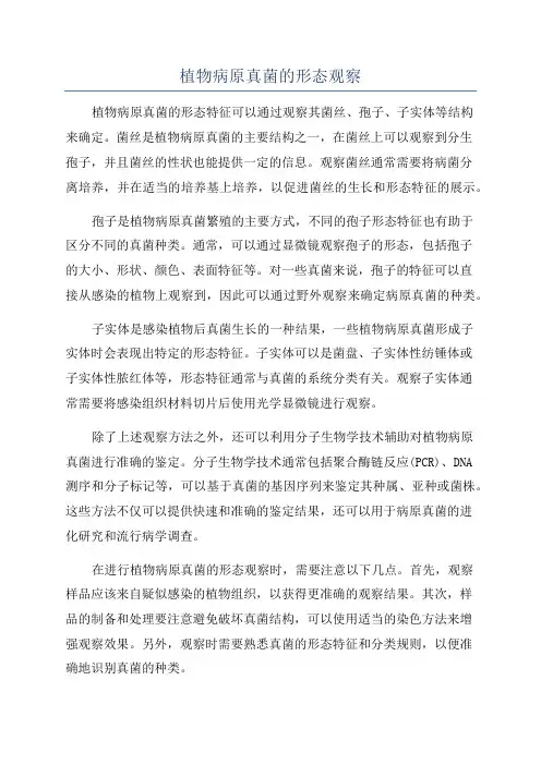 植物病原真菌的形态观察