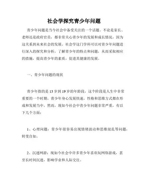 社会学探究青少年问题