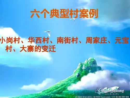 六个典型村案例 ppt课件