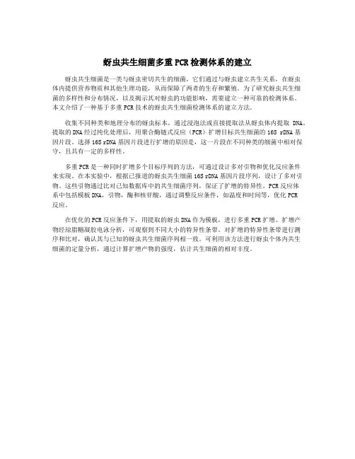 蚜虫共生细菌多重PCR检测体系的建立