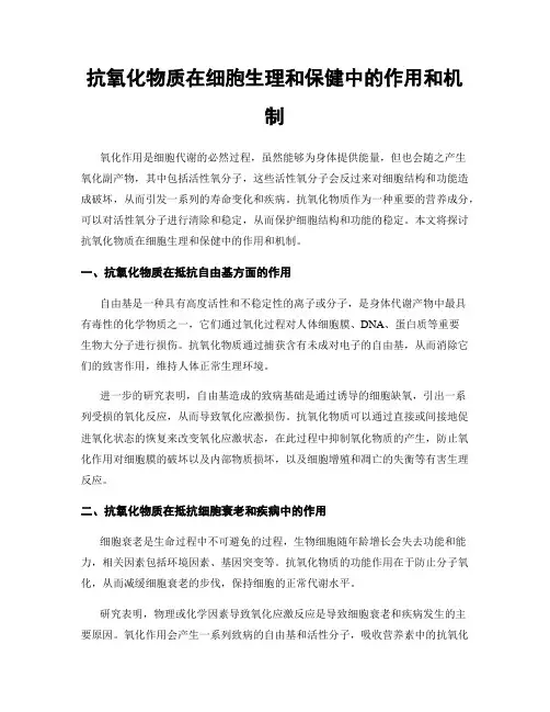 抗氧化物质在细胞生理和保健中的作用和机制