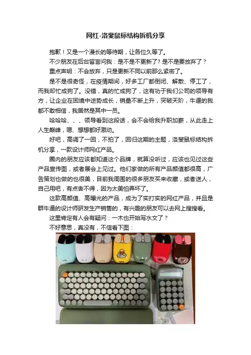 网红-洛斐鼠标结构拆机分享