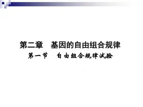 2.2.1 自由组合规律试验 精品课件(中图版必修2)