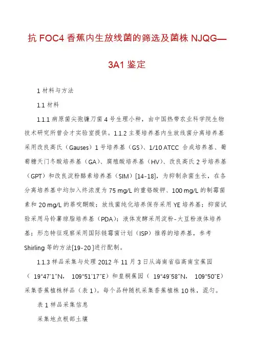 抗FOC4香蕉内生放线菌的筛选及菌株NJQG—3A1鉴定