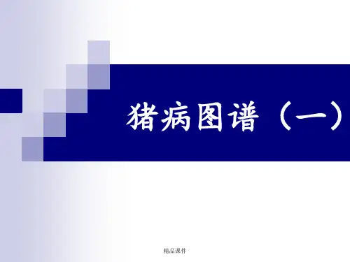 猪病彩色图谱(一)