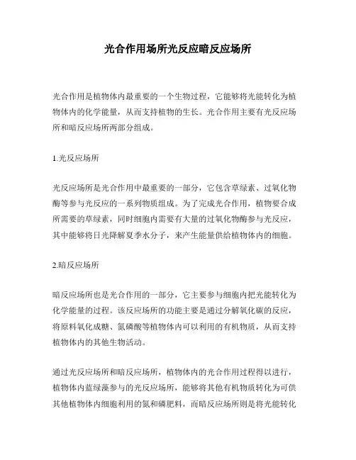 光合作用场所光反应暗反应场所