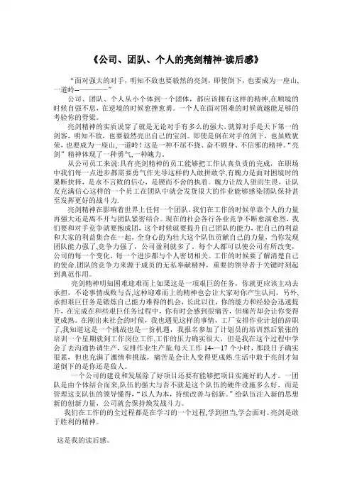 《公司、团队、个人的亮剑精神—读后感》