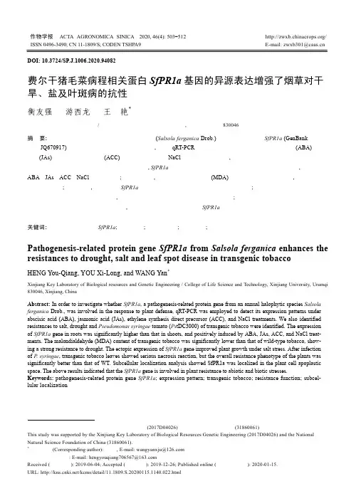 费尔干猪毛菜病程相关蛋白SfPR1a基因的异源表达增强了烟草对干旱、盐及叶斑病的抗性