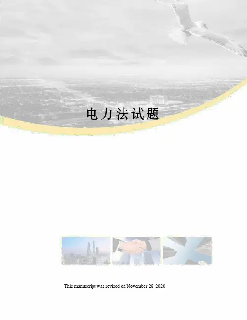 电力法试题