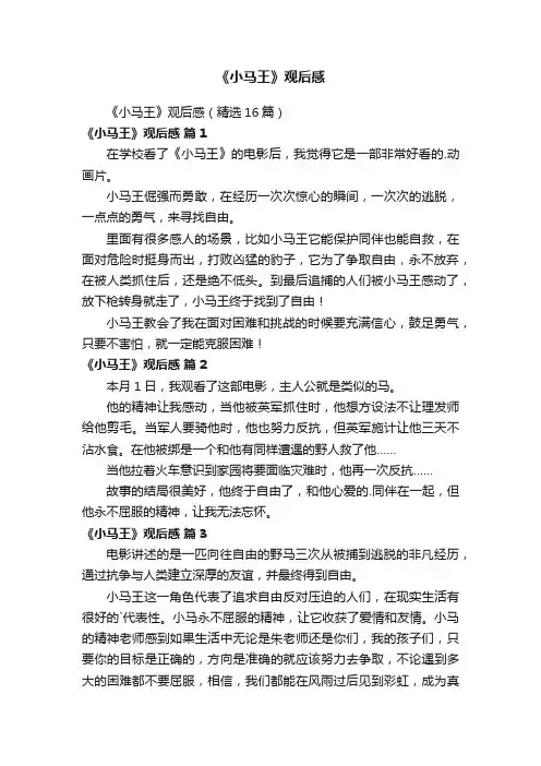 《小马王》观后感