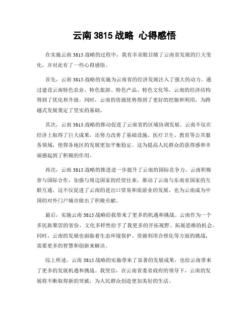 云南3815战略 心得感悟