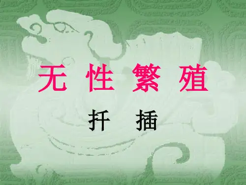 花卉的繁殖3(扦插)PPT课件