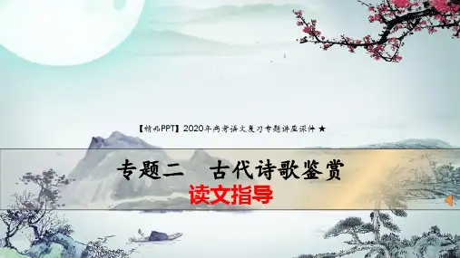 【精品PPT】2020年高考语文复习专题讲座课件 ★读文指导