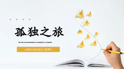 《孤独之旅》优秀课件PPT