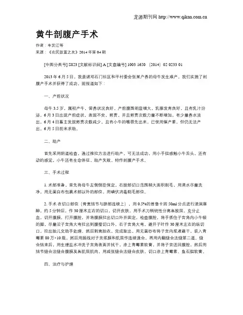 黄牛剖腹产手术