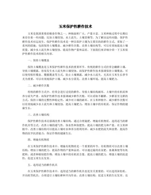 玉米保护性耕作技术