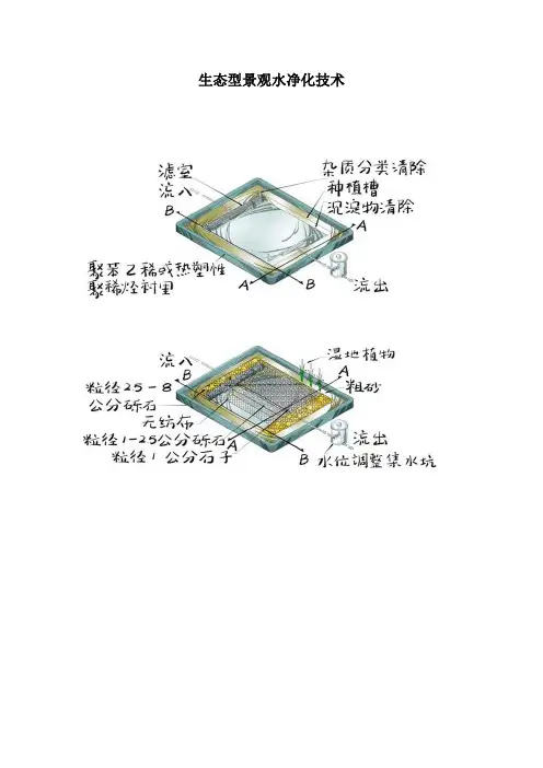 生态型景观水净化技术