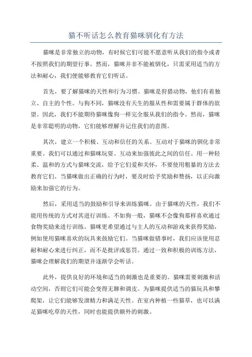 猫不听话怎么教育猫咪驯化有方法