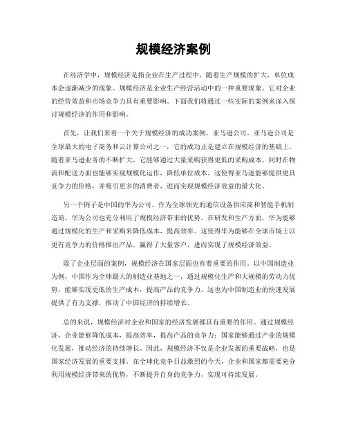 规模经济案例