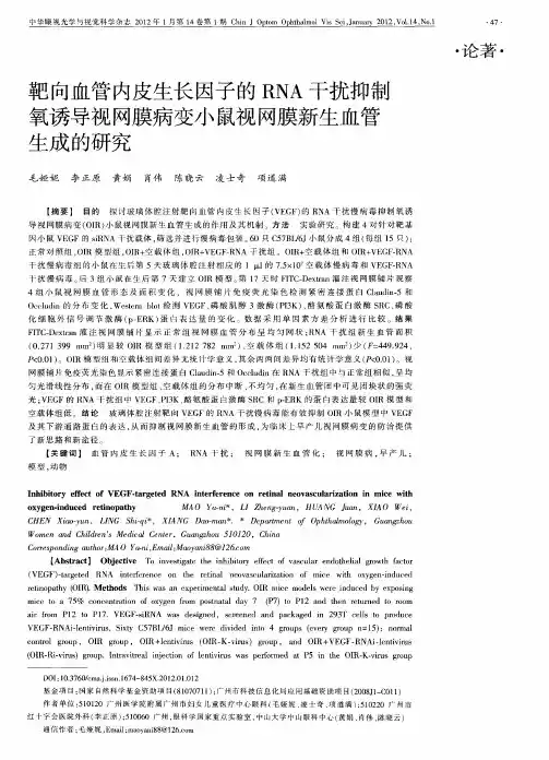 靶向血管内皮生长因子的RNA干扰抑制氧诱导视网膜病变小鼠视网膜新生血管生成的研究
