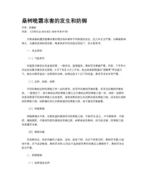 桑树晚霜冻害的发生和防御
