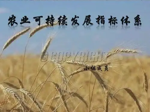 农业可持续发展