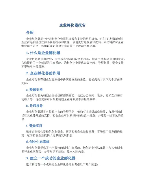 企业孵化器报告