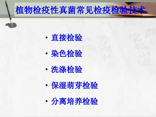 第一节检疫性真菌病害ppt课件