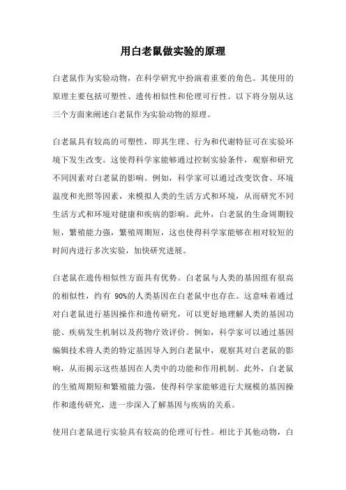 用白老鼠做实验的原理