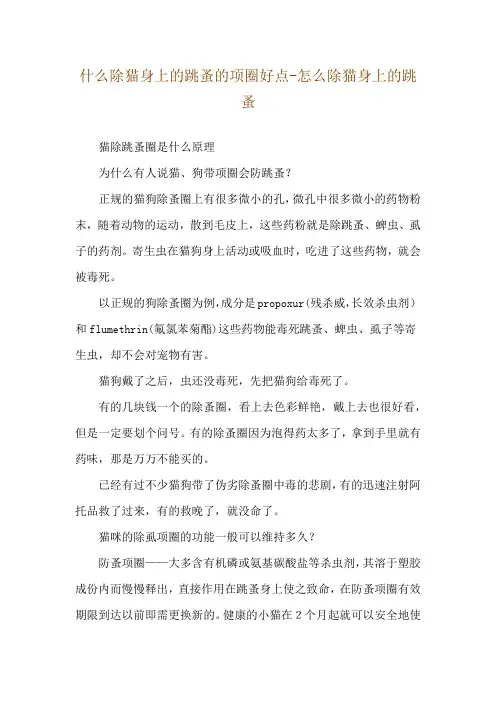 什么除猫身上的跳蚤的项圈好点-怎么除猫身上的跳蚤