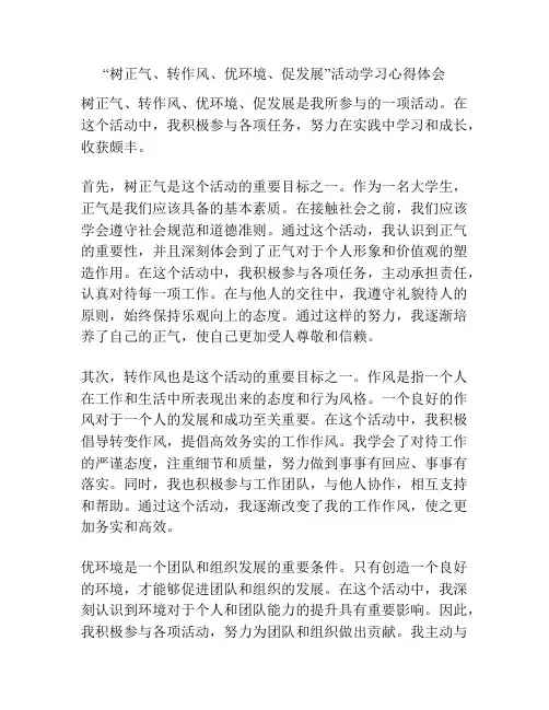 “树正气、转作风、优环境、促发展”活动学习心得体会