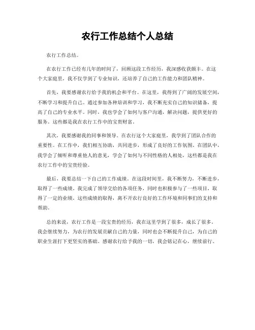 农行工作总结个人总结