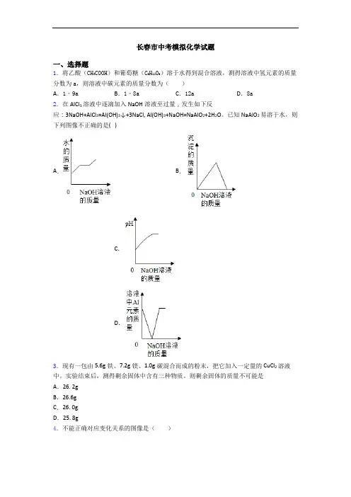 长春市中考模拟化学试题