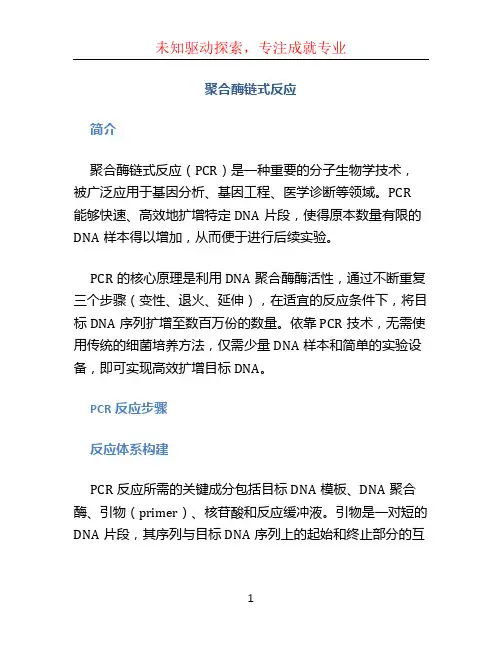 聚合酶链式反应