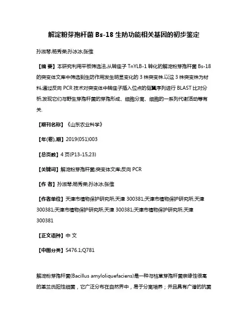 解淀粉芽孢杆菌Bs-18生防功能相关基因的初步鉴定