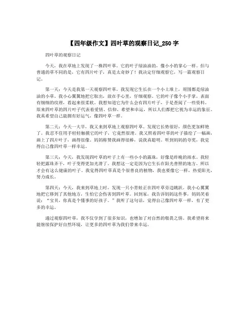 【四年级作文】四叶草的观察日记_250字