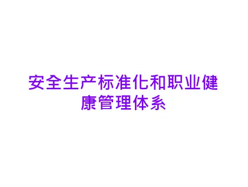 安全生产标准化和职业健康管理体系