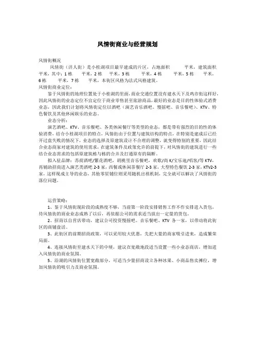 风情街商业与经营规划