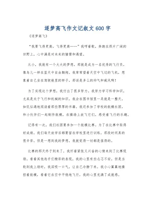 逐梦高飞作文记叙文600字