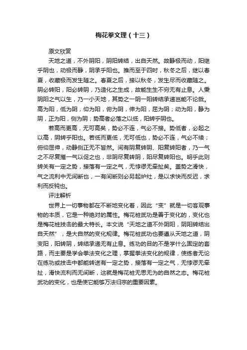梅花拳文理（十三）