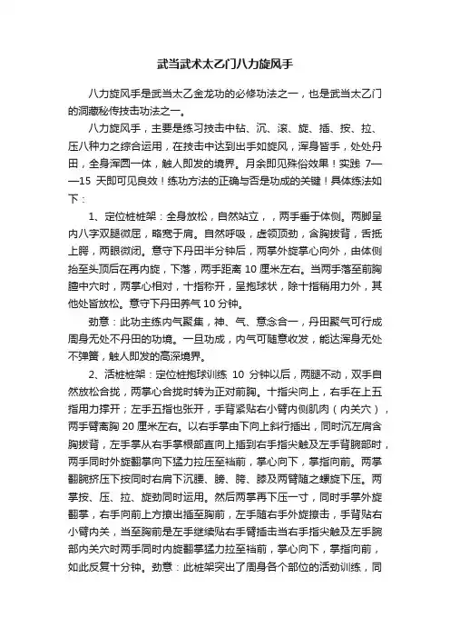 武当武术太乙门八力旋风手