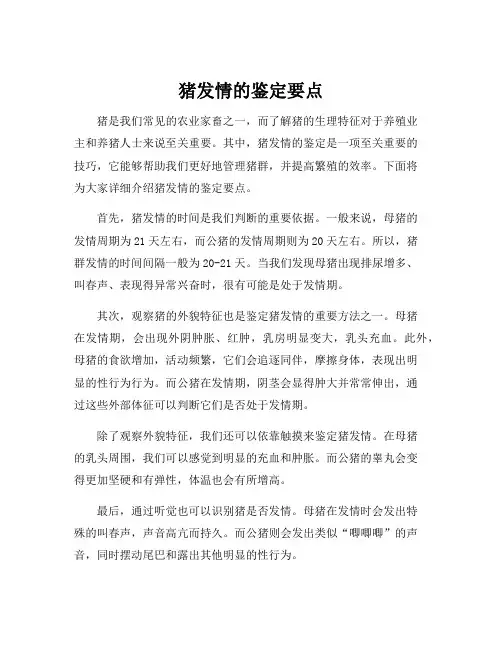 猪发情的鉴定要点
