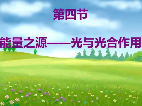 光合作用复习(严重整理)PPT课件