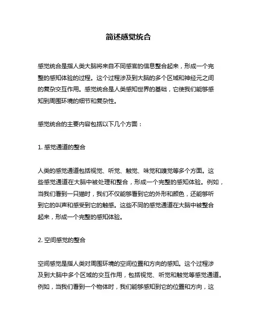 简述感觉统合