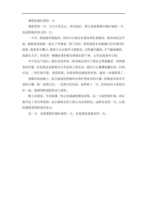 《暑假里最忙碌的一天》精选作文