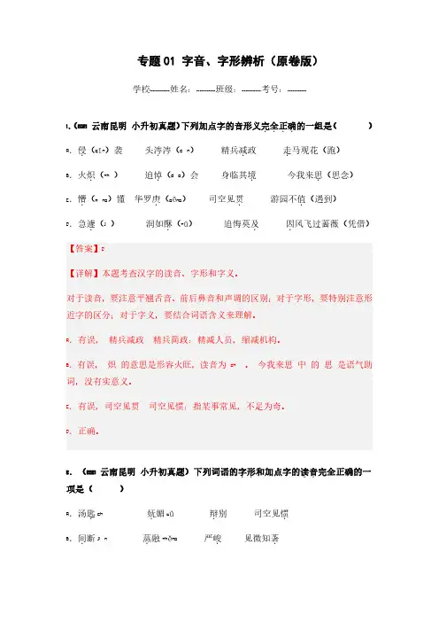 字音、字形辨析(解析版)小升初综合特训卷