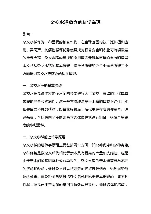 杂交水稻蕴含的科学道理