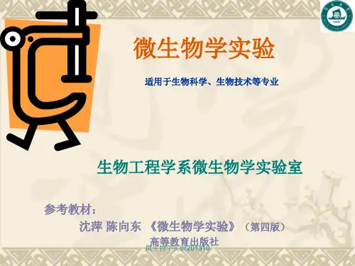 微生物学实验201310 ppt课件